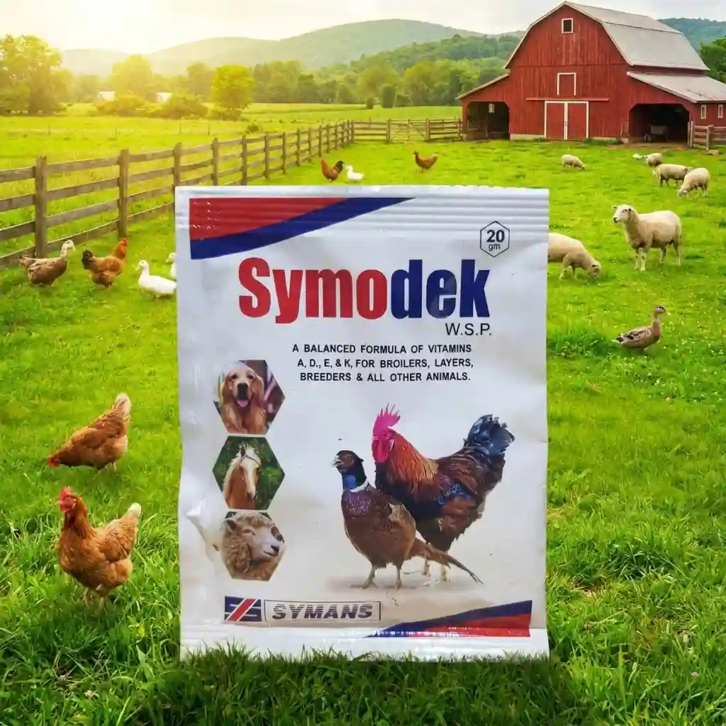 Symodek