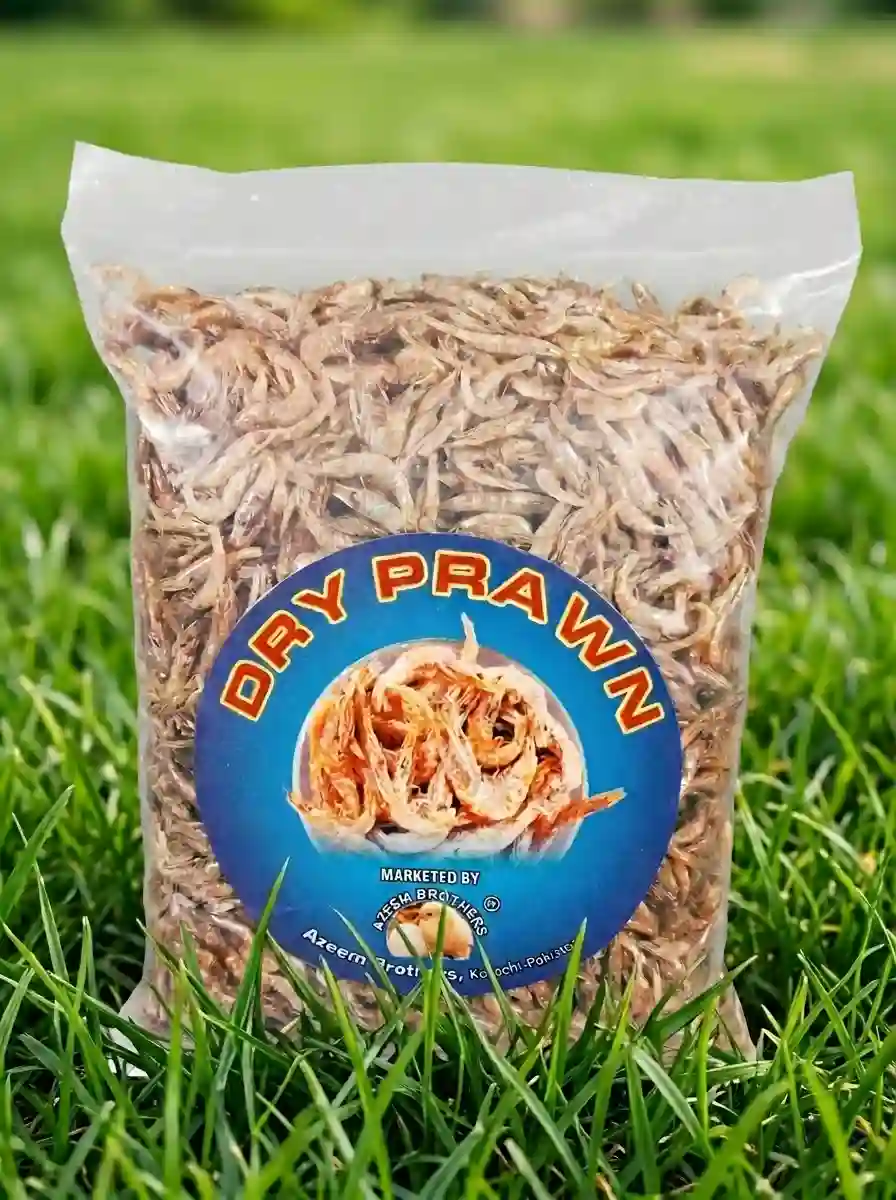 Dry Prawn