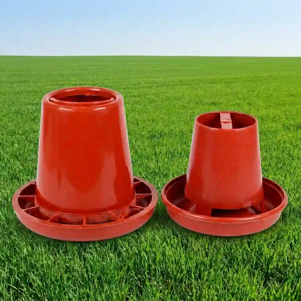 Seed Feeder