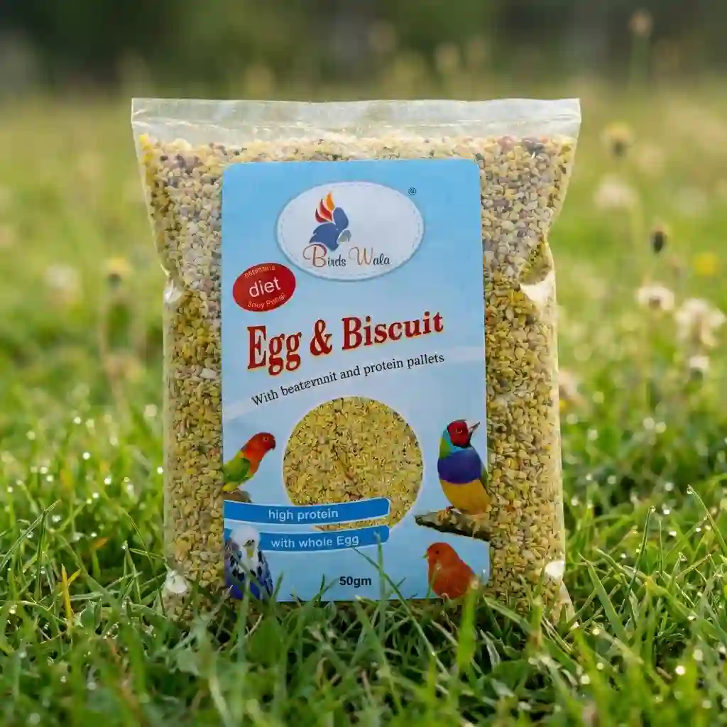 Egg Biscuit