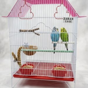 Jumbo Cage
