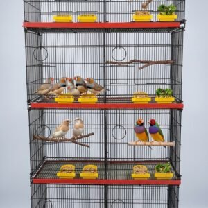 8 Portion Front box Cage